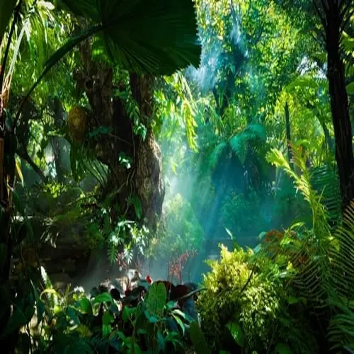 The,Tropical,Jungle,With,River,And,Sun,Beam,And,Foggy - Kevin O'Brien's Orthodontic Blog crowding rainforest