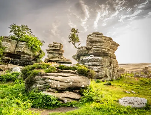 ViewsOfBrimhamRocksAtSunriseInYorkshireEngland - Kevin O'Brien's Orthodontic Blog
