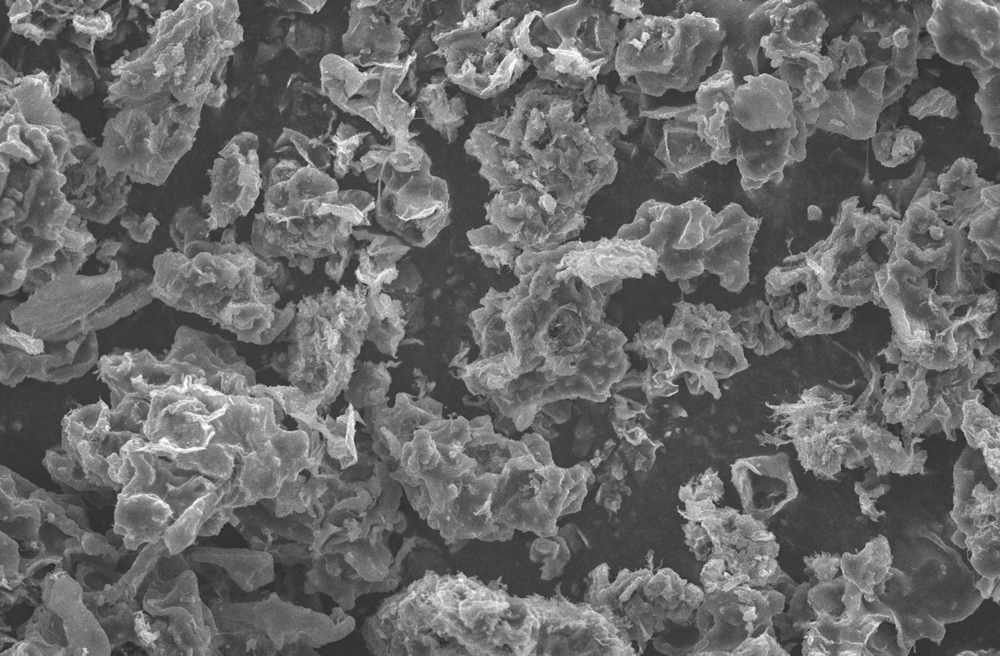 PolythiopheneParticlesWithAScanningElectronMicroscope - Kevin O'Brien's Orthodontic Blog