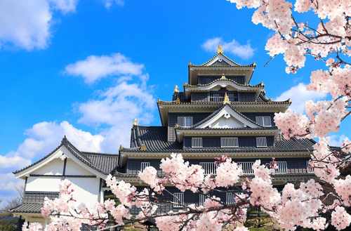 OkayamaCastleblackCastleOkayamaCityJapanFamousLandmarkOld - Kevin O'Brien's Orthodontic Blog Japan